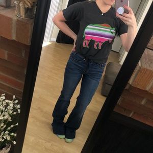 Serape Buffalo V-Neck T-Shirt